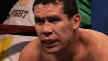 <B>NO PUDO GANAR.</b> Chávez dejó su marca en 107-6-1, y 88 fueras de combate, mientras que Grover Wiley dejó sus números en 30-6-1, y 13 fueras de combate.