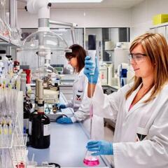 Así logró un grupo de científicos devolver a la vida esta especie animal que desapareció hace 13.000 años