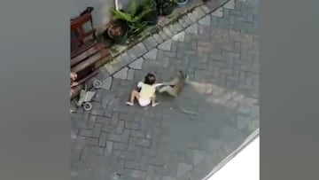 Un mono en minimoto intenta raptar a una niña