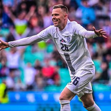 Volviendo al fútbol esloveno, el entrenador Matjaz Kek  convoca al veterano delantero para esta Eurocopa, pues confía en su capacidad para asistir y marcar goles en esta anhelada copa del viejo continente.   