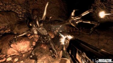 [GC] Aliens vs Predator, Impresiones