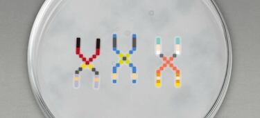 Capcom, Namco y SEGA continúan con el misterio de su proyecto para 3DS