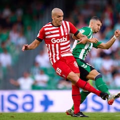 How many professional divisions are there in LaLiga?