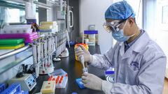 Coronavirus en Perú: ¿desaparecen los anticuerpos si has pasado la enfermedad?