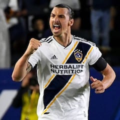 Zlatan Ibrahimovic knows who's boss in LA