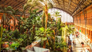 If you are looking to purchase plants to purify the air in your home, here is a list compiled by NASA that puts together the best natural air filters.