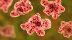 What to know about the rare brain-eating amoeba Naegleria fowleri