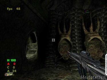 Operation: Matriarchy (PC)