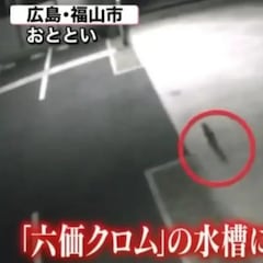 Alerta en Japón por el gato tóxico que cayó a un contenedor de químicos