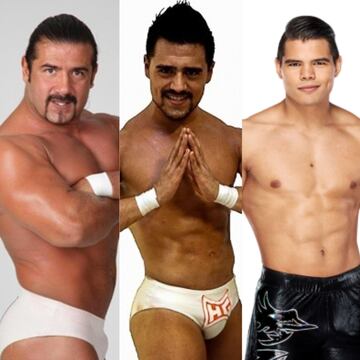 La familia Garza es la más reciente en luchar en la WWE, esto considerando que su primer integrante en pisar el ring de WWE fue Héctor Garza en 1997, después vendría Humberto Carrillo en 2018 y actualmente ‘Angel’ Garza en este 2019.