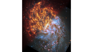 El Telescopio Espacial James Webb muestra nuevas imágenes de 19 galaxias diferentes