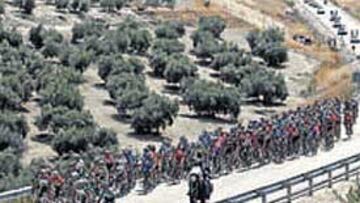 <b>FORZADOS. </b>Los ciclistas españoles, contrarios a la carta UCI.