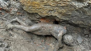 More than 24 Roman and Etruscan statues have been recovered from the mud of an ancient bath along with numerous other artifacts in a sensational find.