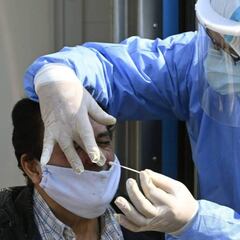 PCR de cadena larga o PCR anal: diferencias, efectividad y cuánto tardan los resultados