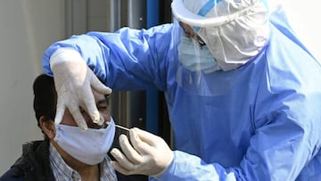 PCR de cadena larga o PCR anal: diferencias, efectividad y cuánto tardan los resultados