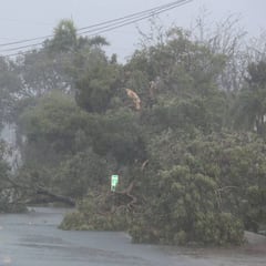 Conoce los eventos cancelados por la llegada del huracán Irma