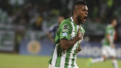 Se acercan los campeones: noviembre, mes de definiciones