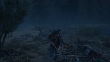 Days Gone