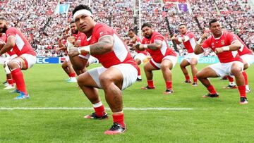 Los Leones abrir¨¢n ante Tonga la venta?a de oto?o
