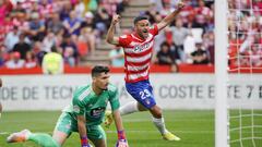 Jorge Molina celebra uno de los goles del Granada.