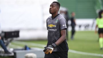 Arboleda sufre golpe que le hace perder el conocimiento