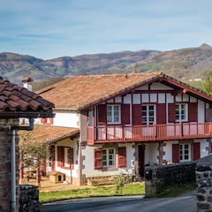 El estilo de vivienda que se ha puesto de moda en Países Bajos: “Un paraíso y asequible”