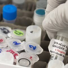 Vacuna de Oxford contra el coronavirus: se reanudaron los ensayos