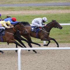 Pals Battalion, llamado a acabar el año con victoria en Newcastle
