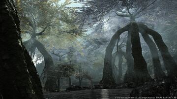 Captura de pantalla - Final Fantasy XIV: A Realm Reborn - Heavensward (PC)