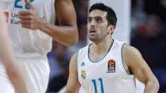 Facundo Campazzo, base del Real Madrid.