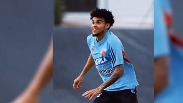 Los amistosos frente Irak y Alemania tiene a los dirigidos por Nestor Lorenzo enfocados en sus entrenamientos.