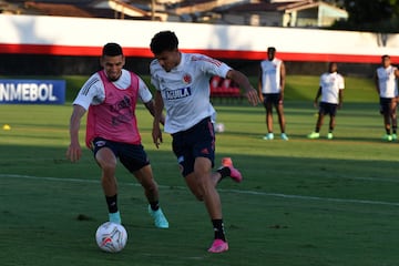 Tras su llegada a Goianía, el combinado nacional trabajó en el centro de entrenamiento do Dragao para preparar el segundo partido de la Copa América.