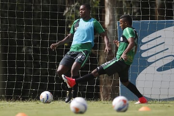 Atlético Nacional espera revertir la serie de cuartos ante Deportes Tolima.