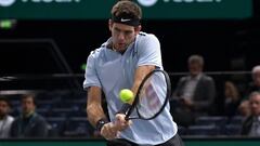 El tenista argentino Juan-Martin Del Potro devuelve la bola al holand&eacute;s Robin Hasse durante el partido que enfrent&oacute; a ambos en el Masters 1.000 de Par&iacute;s-Bercy.