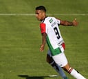 Palestino celebra en casa