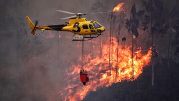 Bomberos de Asturias trabajan para extinguir las llamas en un incendio forestal en Toraño, Asturias (España). El Gobierno regional activó el pasado jueves por la noche el Plan de Incendios Forestales del Principado de Asturias (INFOPA).