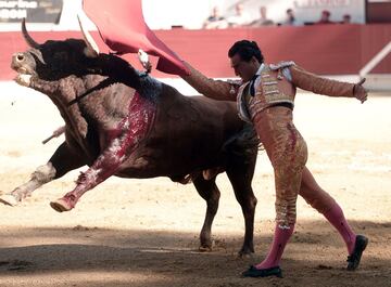 El torero Iván Fandiño recibió una cornada mortal de un toro de la ganadería Baltasar Ibán en la plaza francesa de Aire Sur L'Adour,