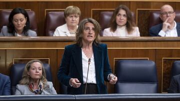 27/04/2022 La vicepresidenta tercera y ministra para la Transici&oacute;n Ecol&oacute;gica y el Reto Demogr&aacute;fico, Teresa Ribera, interviene en una sesi&oacute;n plenaria, en el Congreso de los Diputados, a 27 de abril de 2022, en Madrid (Espa&ntild