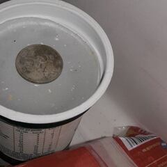 ¿Por qué debemos guardar una moneda en el congelador si nos vamos de vacaciones?