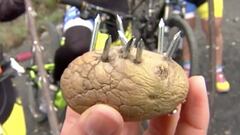 Un piloto de MTB muestra una patata con clavos, una trampa para ciclistas encontrada en la zona de Ribeira (Galicia).