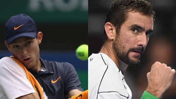 ¿Cuáles son las claves que permitirían una sorpresa de Jarry a Cilic?