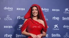 La influencer Dulceida posa en la alfombra roja previa a la gala de la 37 edición de los Premios Goya, en el Palacio de Congresos y Exposiciones FIBES, a 11 de febrero de 2023, en Sevilla, Andalucía (España). La Academia celebra la calidad del cine español con la entrega de los Premios Goya, los más importantes del cine español, a los mejores profesionales de cada una de las especialidades técnicas y creativas. A lo largo de su historia, la Academia ha reconocido con el Goya, o con su nominación, el trabajo tanto de técnicos, profesionales anónimos para el gran público, como de grandes estrellas españolas e internacionales.
11 FEBRERO 2023
Eduardo Parra / Europa Press
11/02/2023