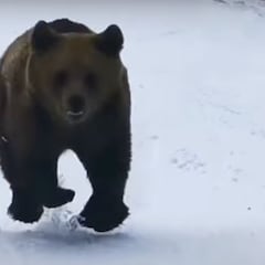 Un instructor de esquí graba cómo un oso pardo le pisa los talones