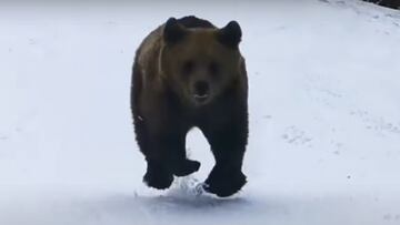 Un oso pardo corre por la nieve persiguiendo a un esquiador en Predeal Ski Resort (Ruman&iacute;a) en marzo del 2021. 