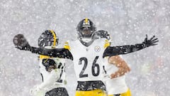 Jugando bajo la nieve: las espectaculares imágenes de la nevada en Cleveland