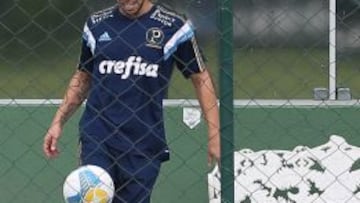 Jorge Valdivia no ha jugado en Palmeiras durante este 2015.