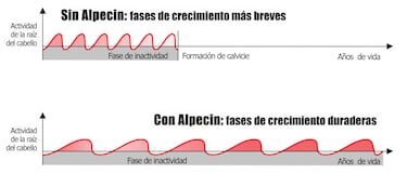 Ni minoxidil ni lociones: el champú con cafeína Nº1 en Amazon que  previene la caída del cabello