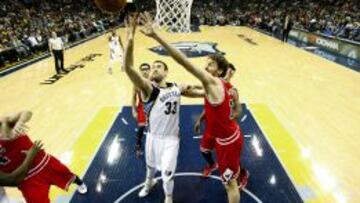 Marc y Pau Gasol, durante un partido esta temporada.