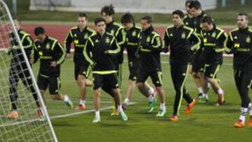 Del Bosque tiene ya lista toda la planificación del Mundial de Brasil.