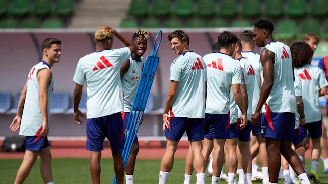 Un gallo contra el campeón